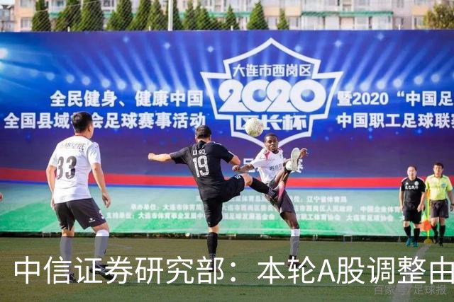 中信证券研究部：本轮A股调整由机构重仓股诱发 机构重仓组合跌13.6%
