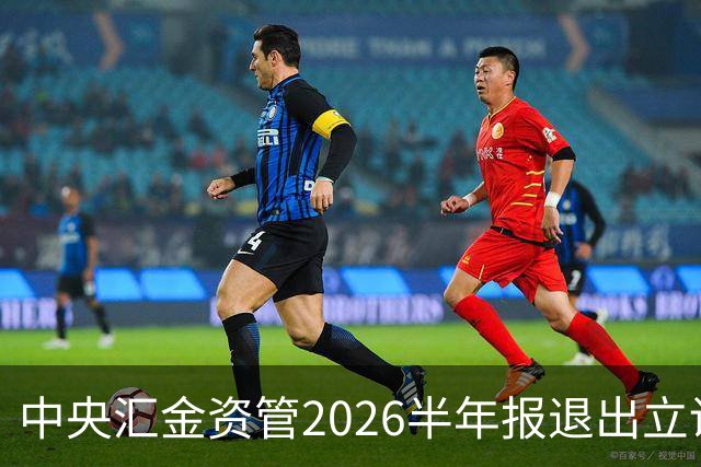 中央汇金资管2026半年报退出立讯精密前十大股东名单