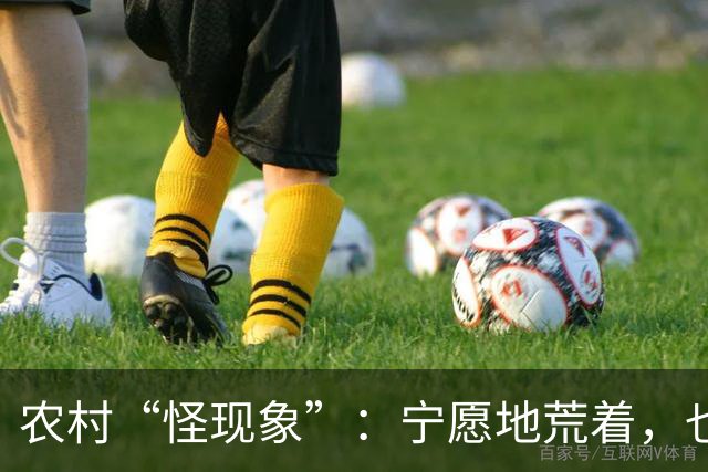 农村“怪现象”：宁愿地荒着，也不种粮食，把专家气够呛，咋回事