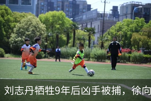 刘志丹牺牲9年后凶手被捕，徐向前下令释放：回去千万别说咱们好！