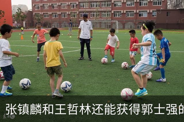 张镇麟和王哲林还能获得郭士强的青睐吗？杜锋说出大实话！