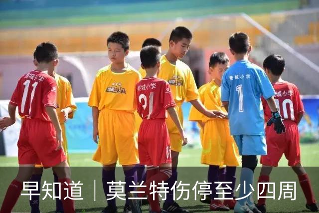 早知道｜莫兰特伤停至少四周